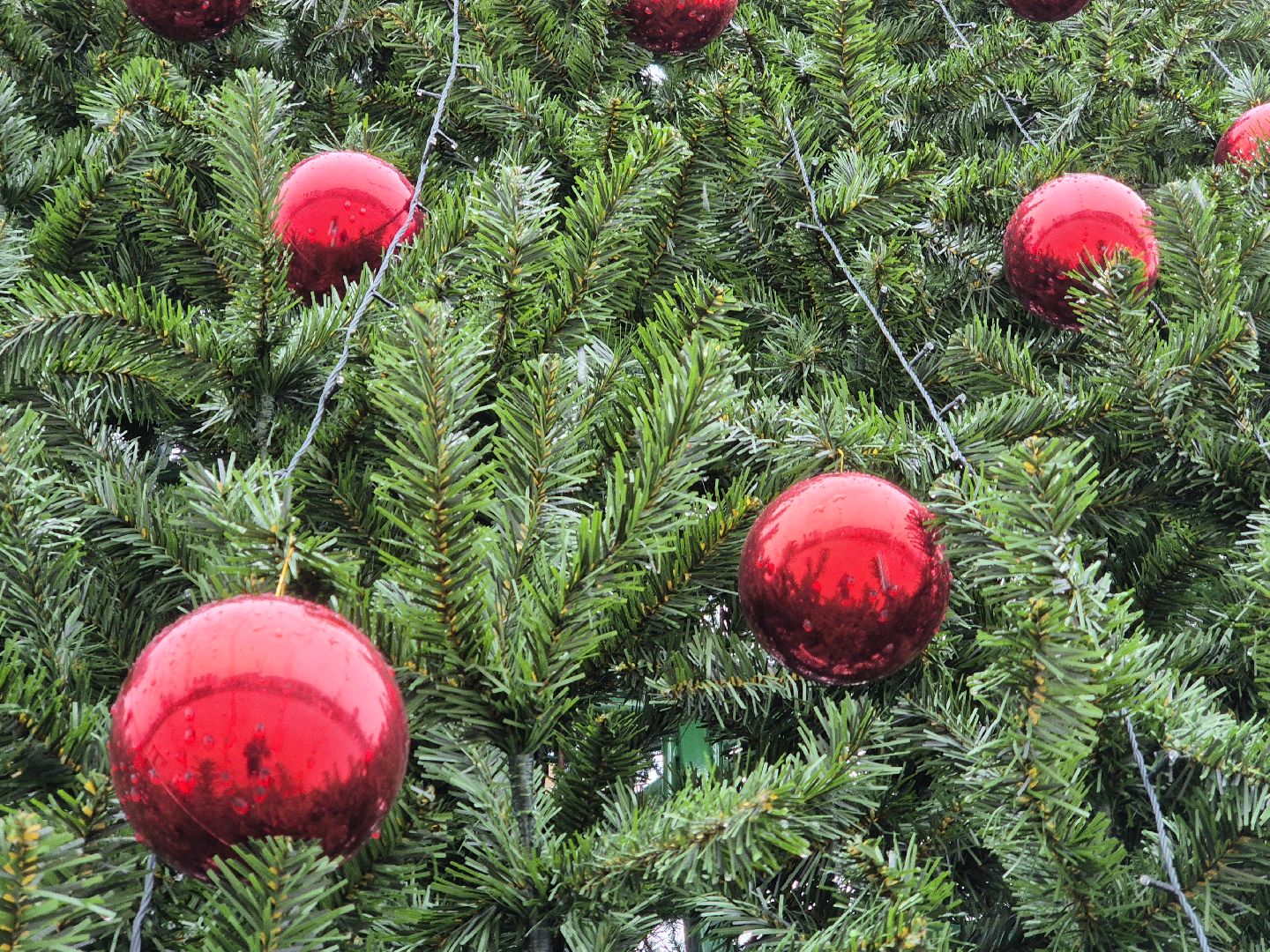 новогодняя елка, ликино-дулево, орехово-зуевский округ,