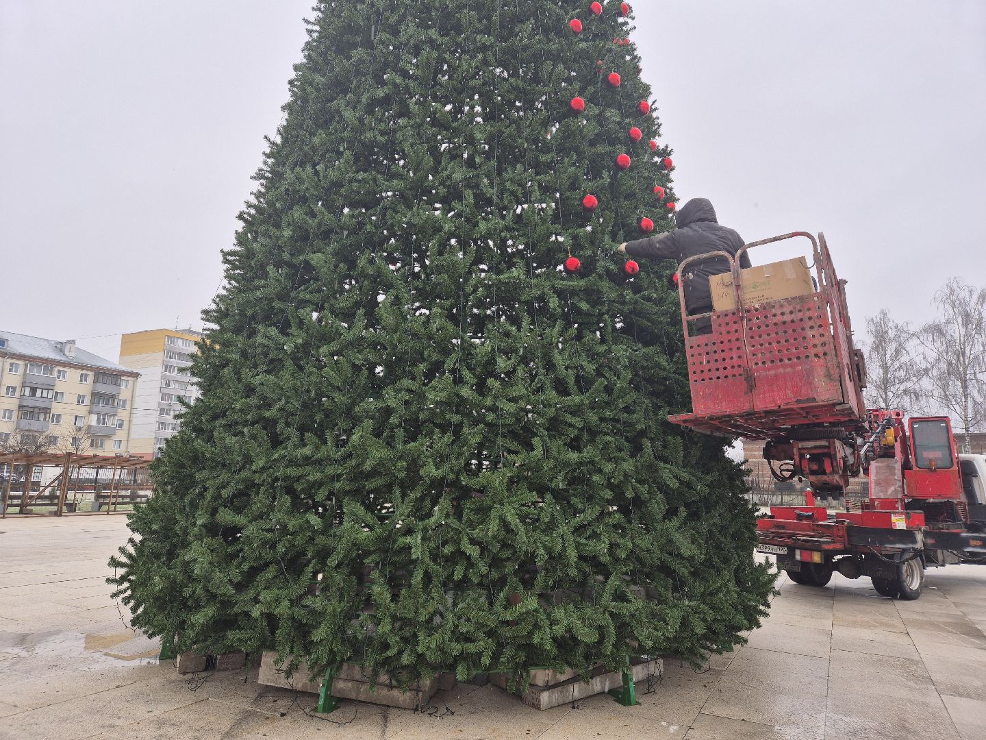новогодняя елка, ликино-дулево, орехово-зуевский округ,