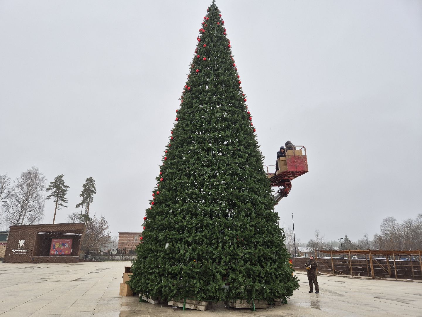 новогодняя елка, ликино-дулево, орехово-зуевский округ,