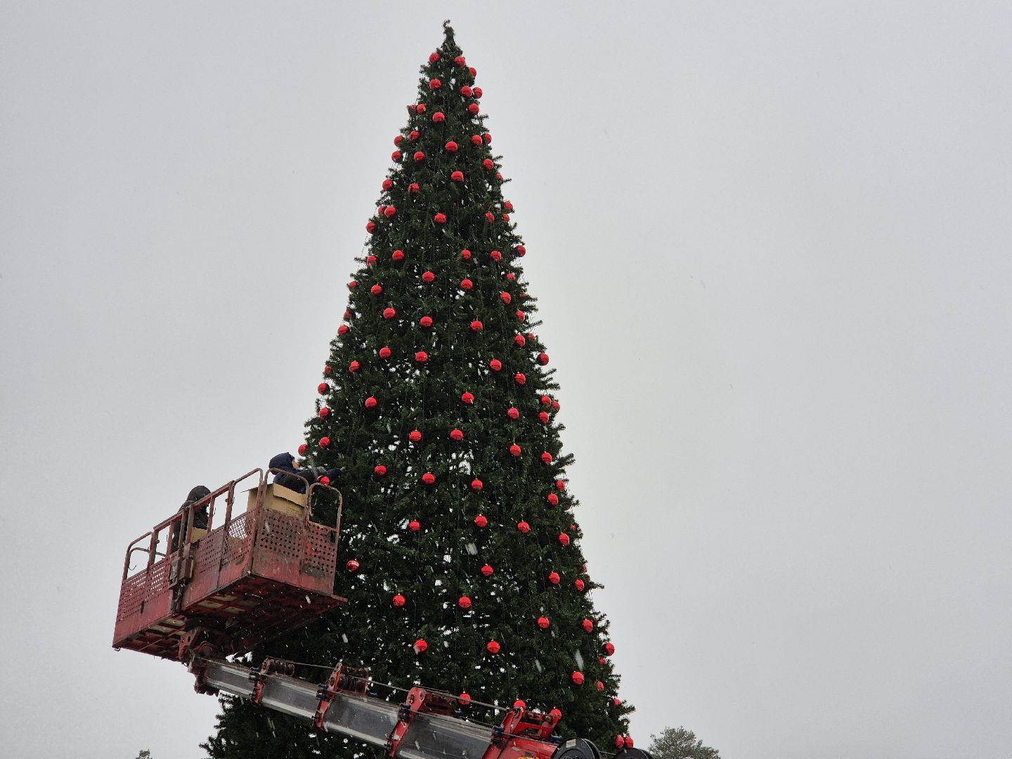 новогодняя елка, ликино-дулево, орехово-зуевский округ,