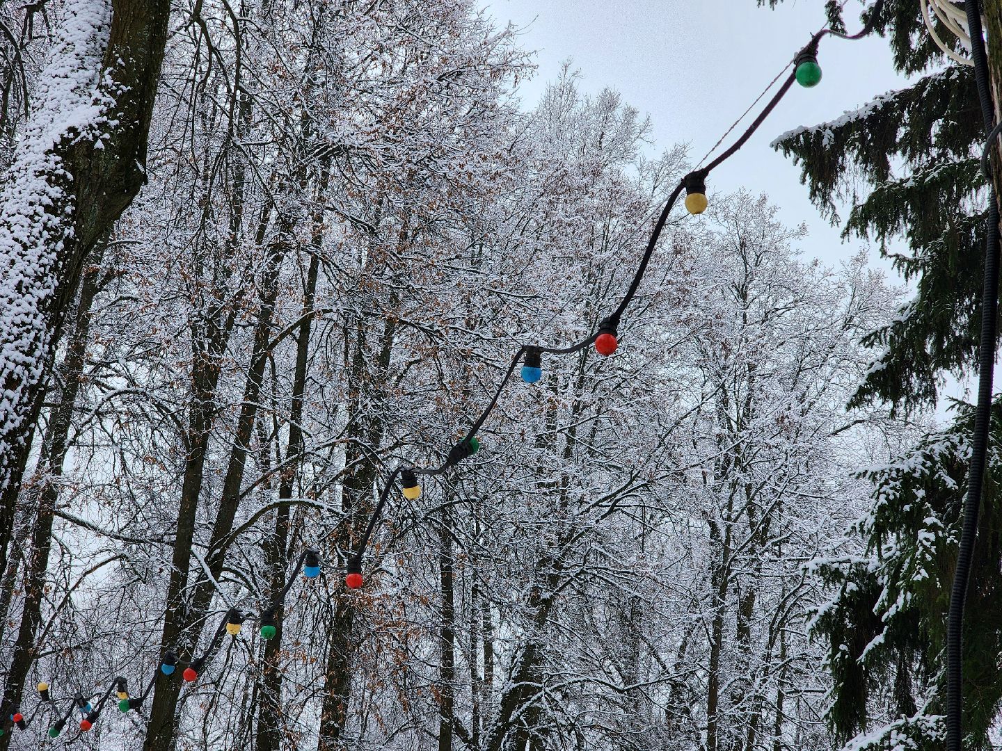 сергиев посад, сергиево-посадский городской округ, парк скитские пруды, лесопарк загорское море, зима в подмосковье,  каток, зимний сезон в парке, зимний досуг,