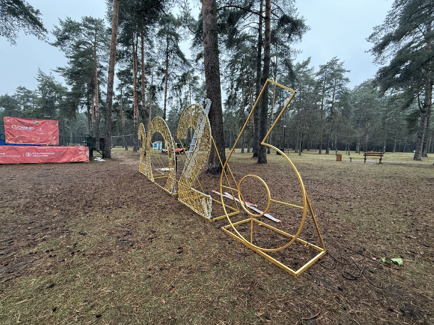 Котельники, Новый год 2026, Новогодняя елка, зима в подмомсковье,