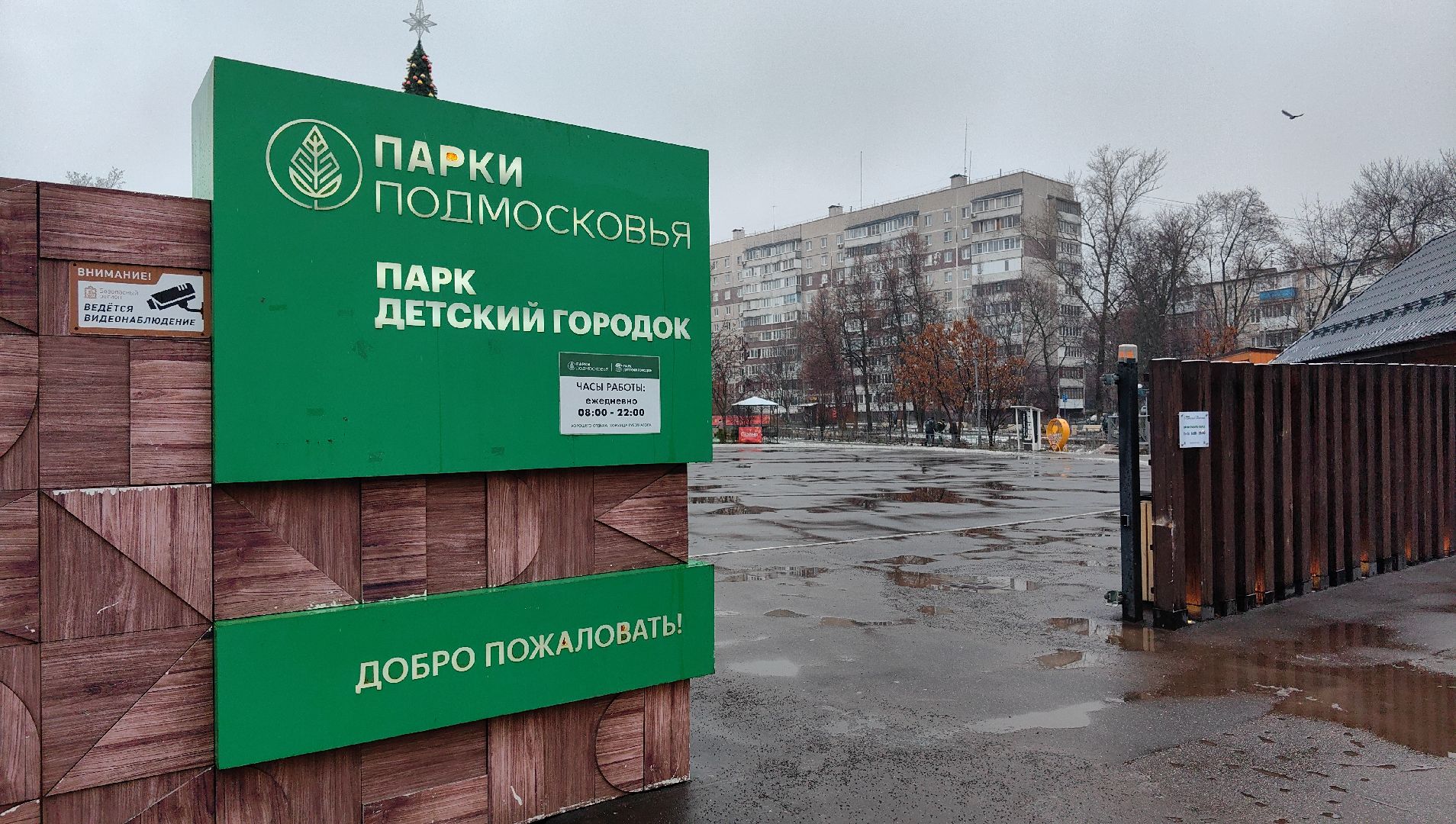 елка, новый год, дед мороз, снегурочка,