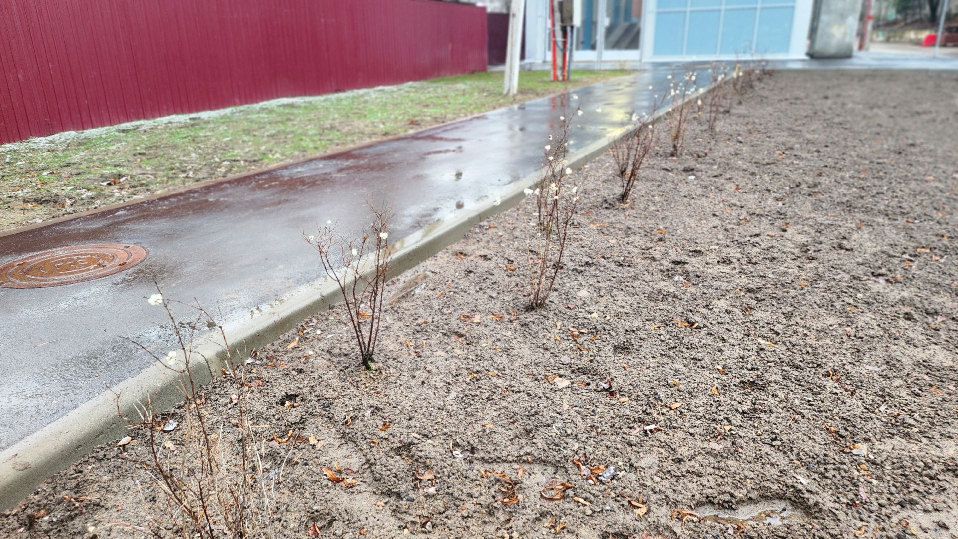 Люберцы, надземный пешеходный переход, малаховка,