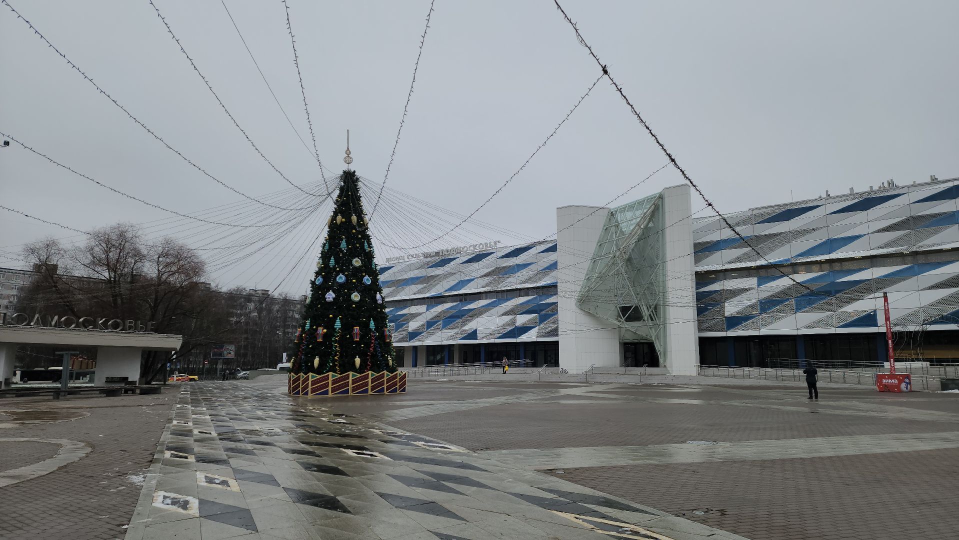 выставка, митьки, художник, красногорск,