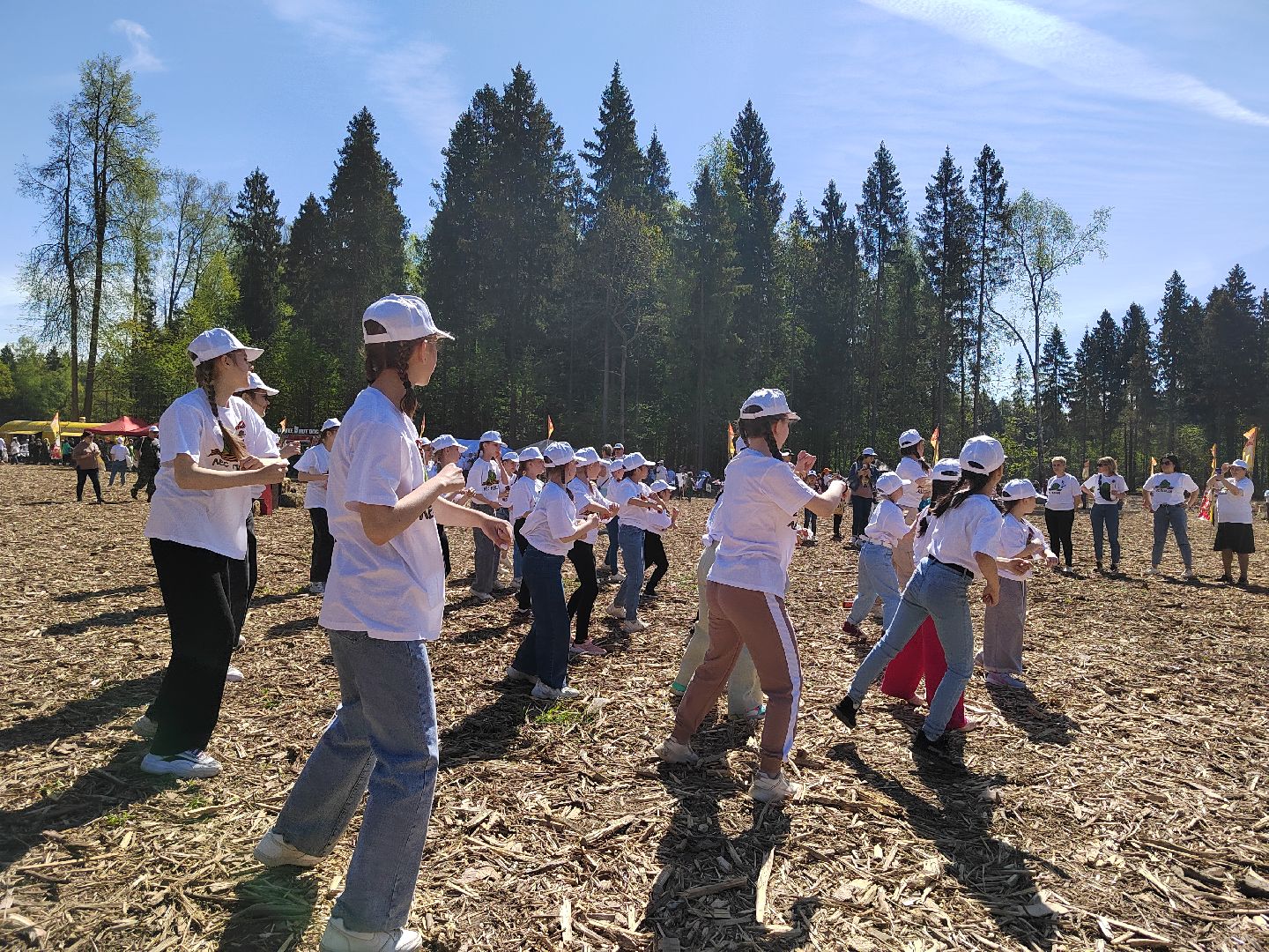 Пушкино, Пушкинский округ, Лес Победы, Улыбка, Ивантеевка