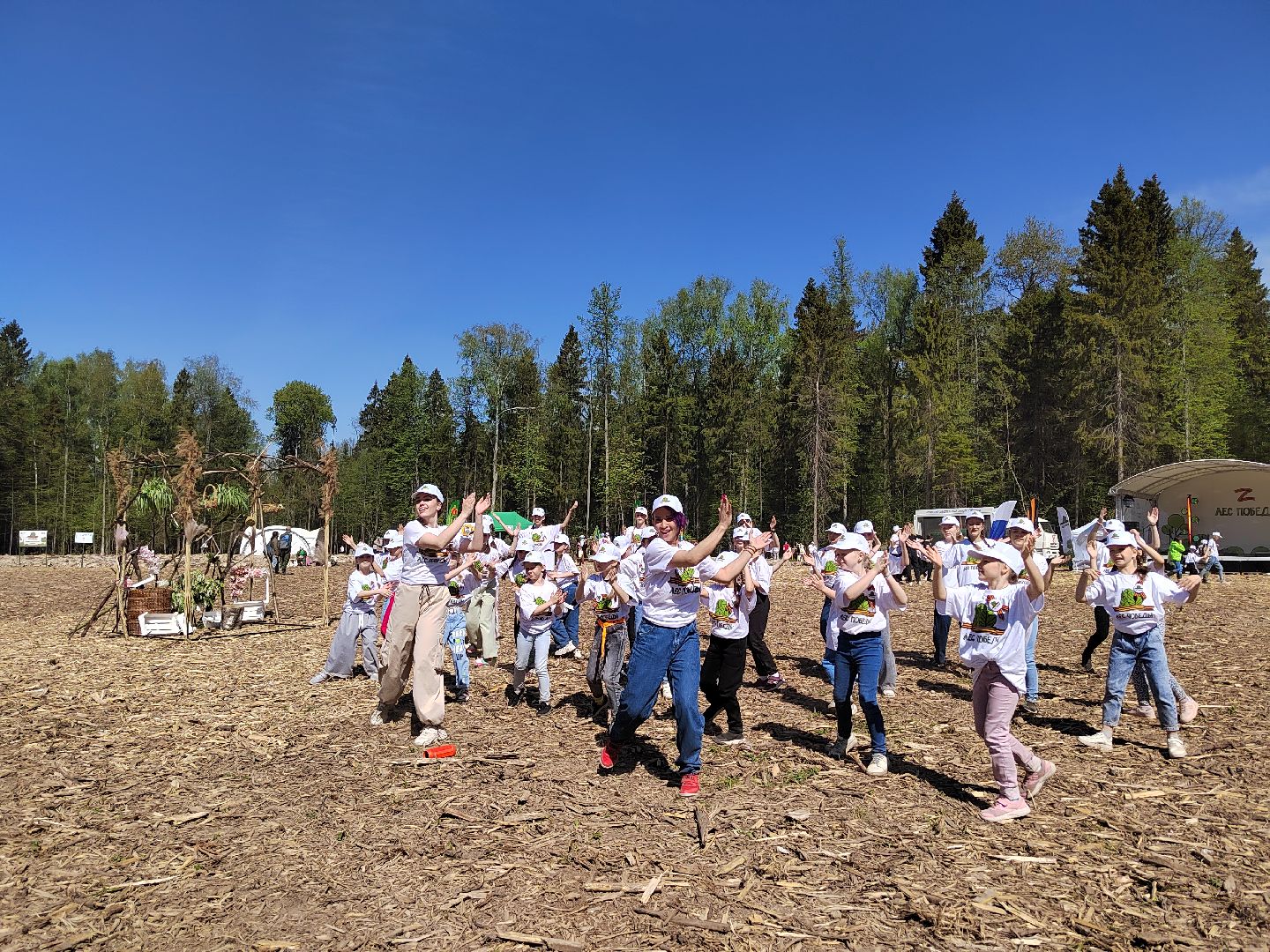 Пушкино, Пушкинский округ, Лес Победы, Улыбка, Ивантеевка