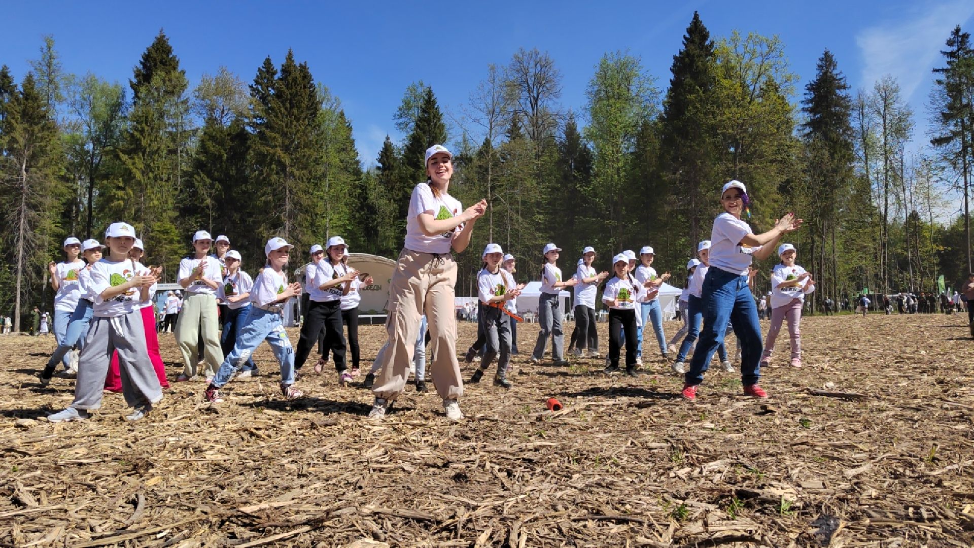 Пушкино, Пушкинский округ, Лес Победы, Улыбка, Ивантеевка