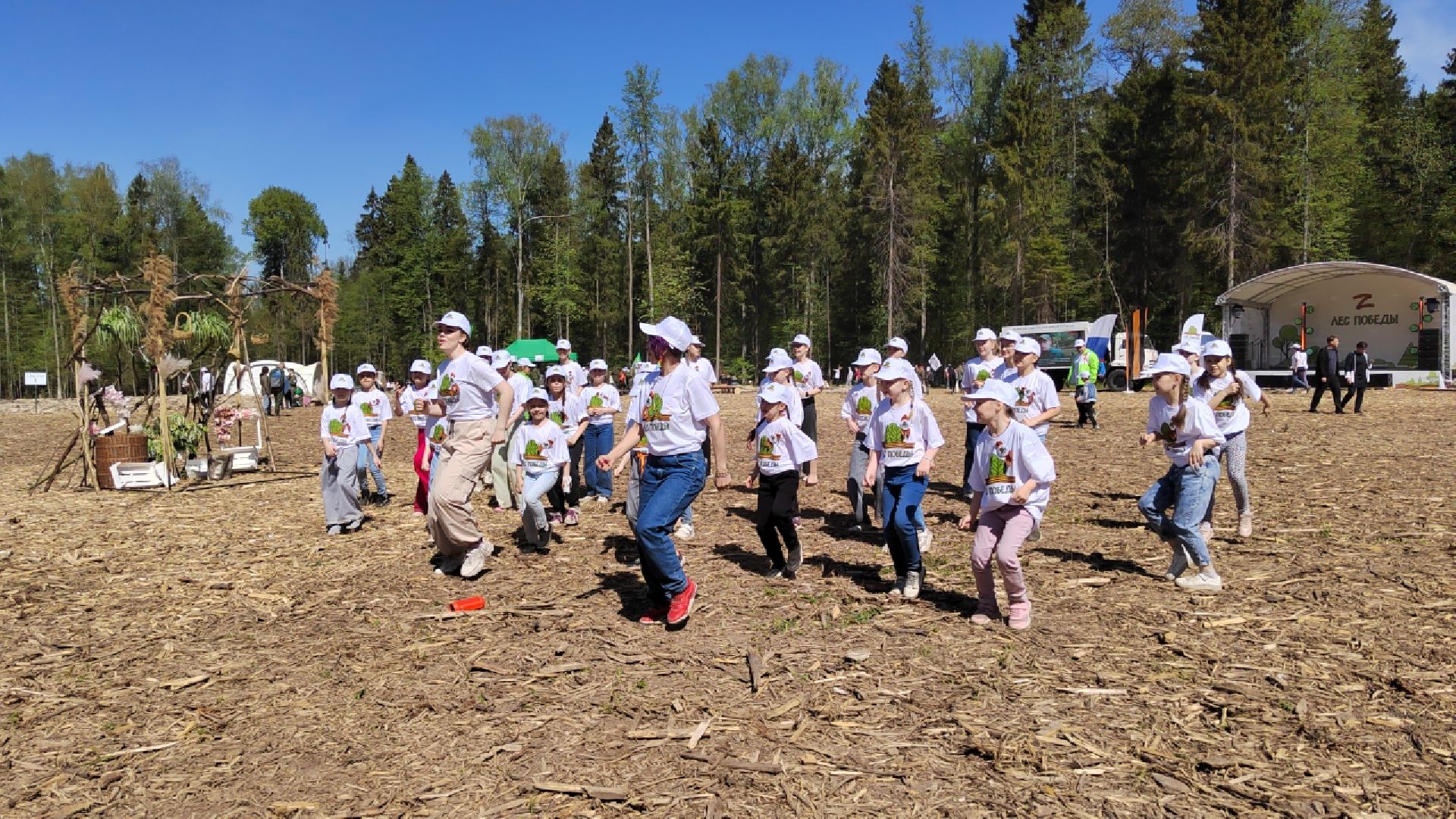 Пушкино, Пушкинский округ, Лес Победы, Улыбка, Ивантеевка
