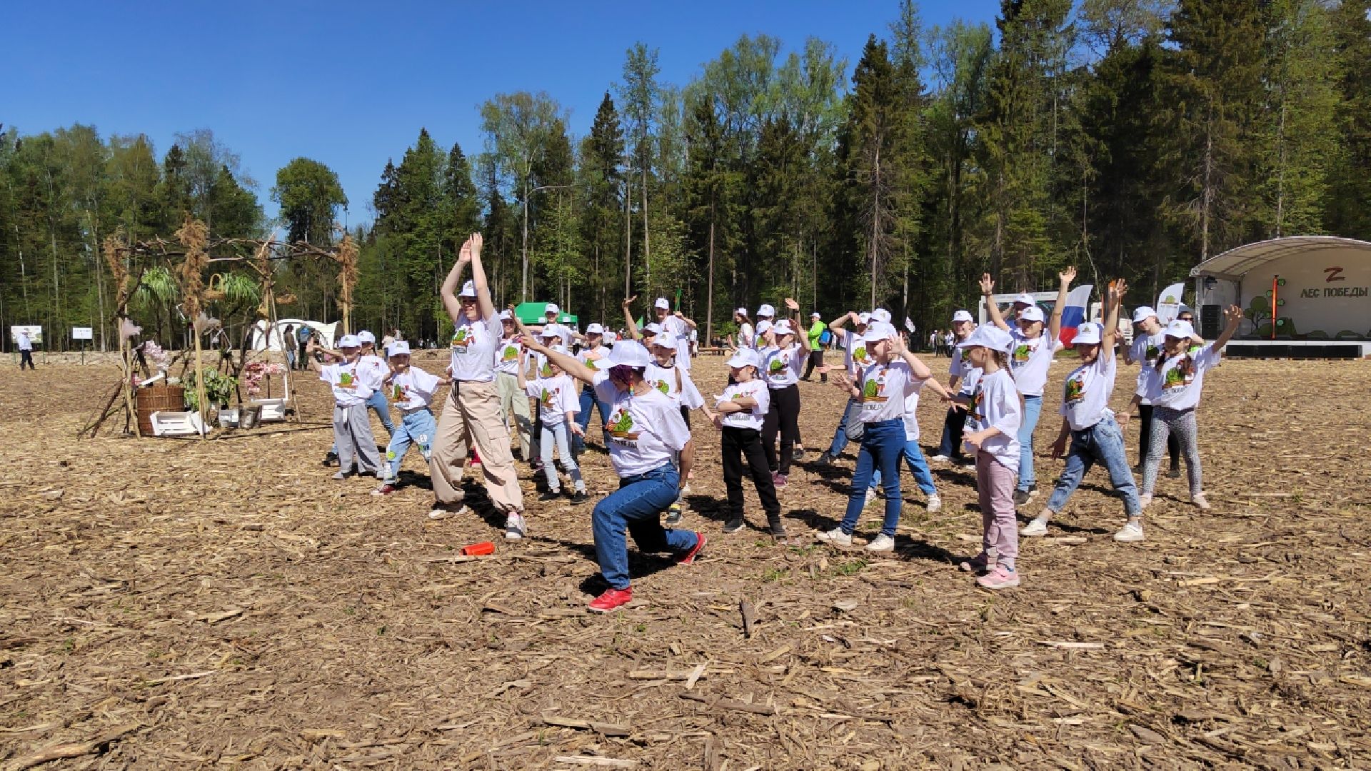 Пушкино, Пушкинский округ, Лес Победы, Улыбка, Ивантеевка