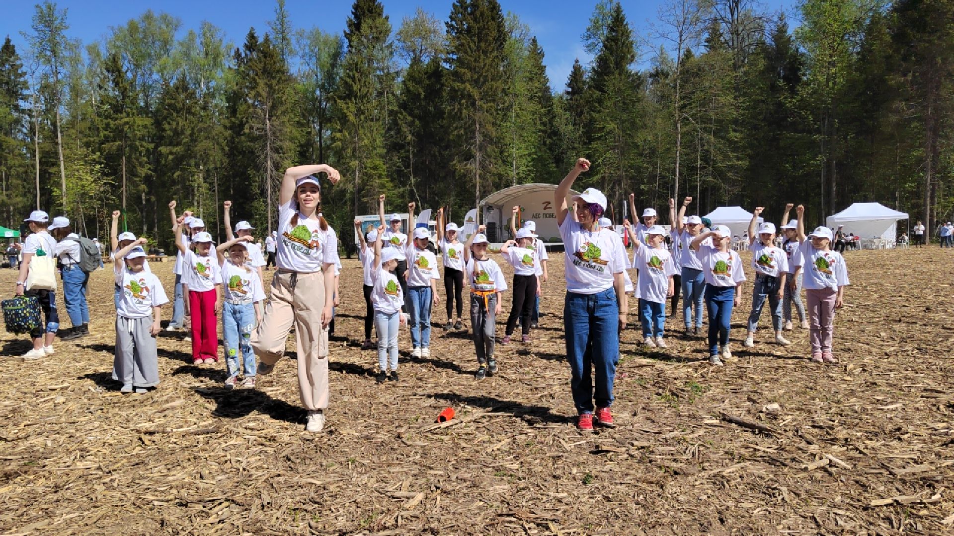 Пушкино, Пушкинский округ, Лес Победы, Улыбка, Ивантеевка