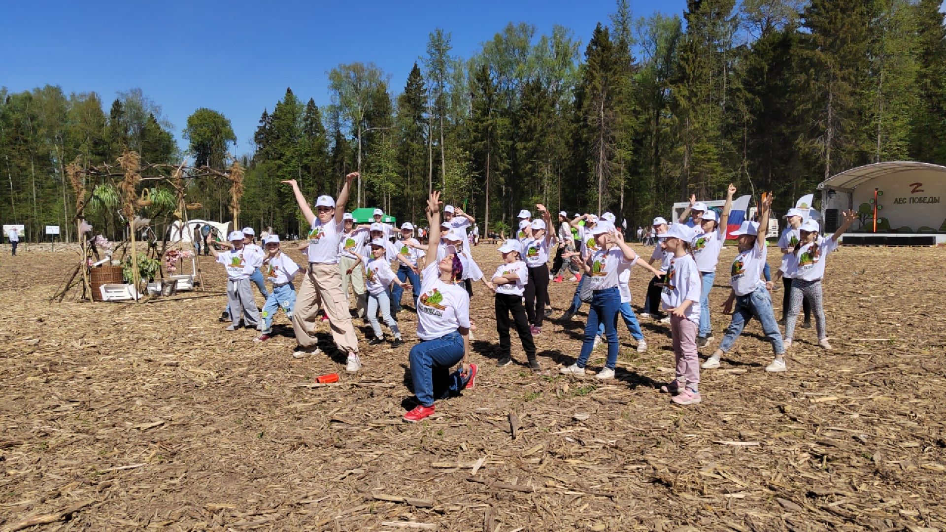 Пушкино, Пушкинский округ, Лес Победы, Улыбка, Ивантеевка