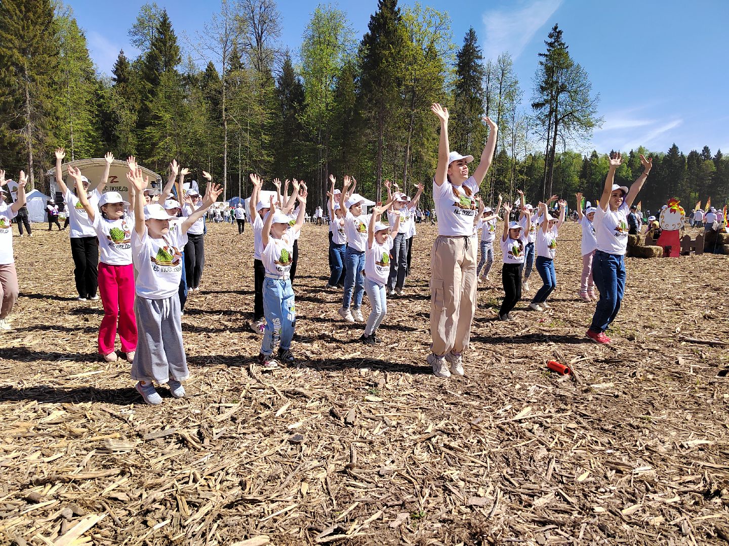 Пушкино, Пушкинский округ, Лес Победы, Улыбка, Ивантеевка