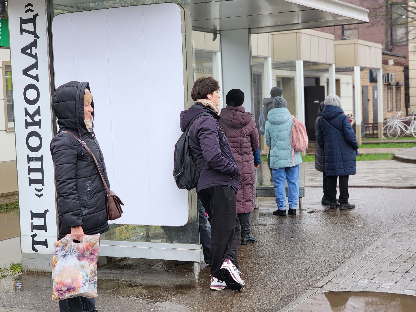 общественный транспорт, расписание общественного транспорта, автобус, старая купавна, богородский городской округ,