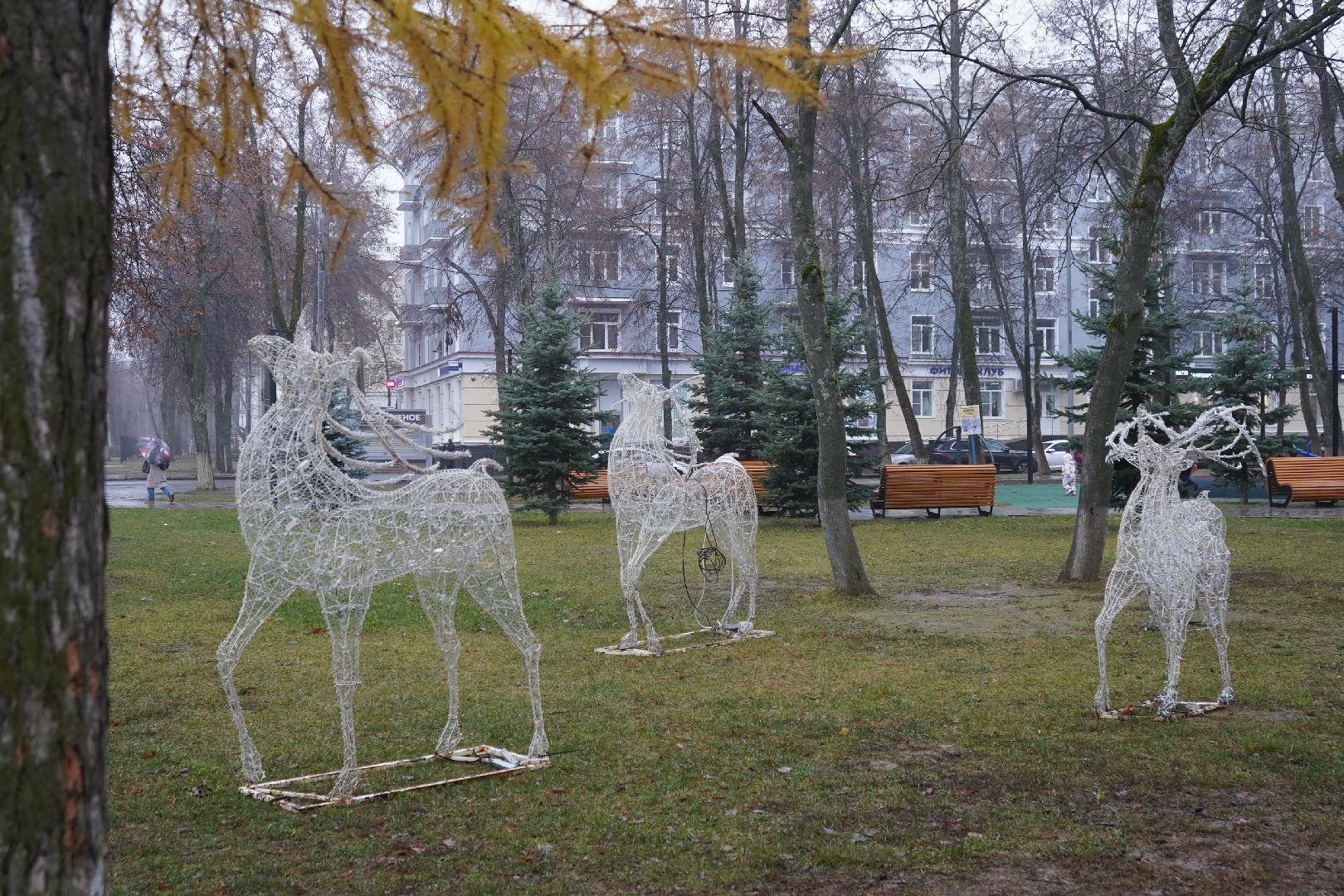новый год, украшение, новогодние елки,