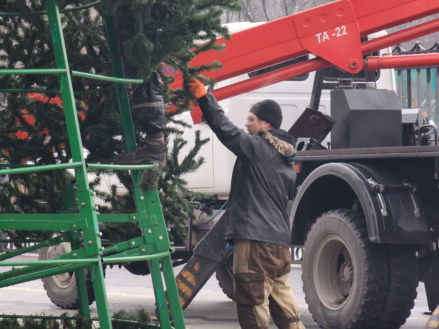 мытищи, установка елки,