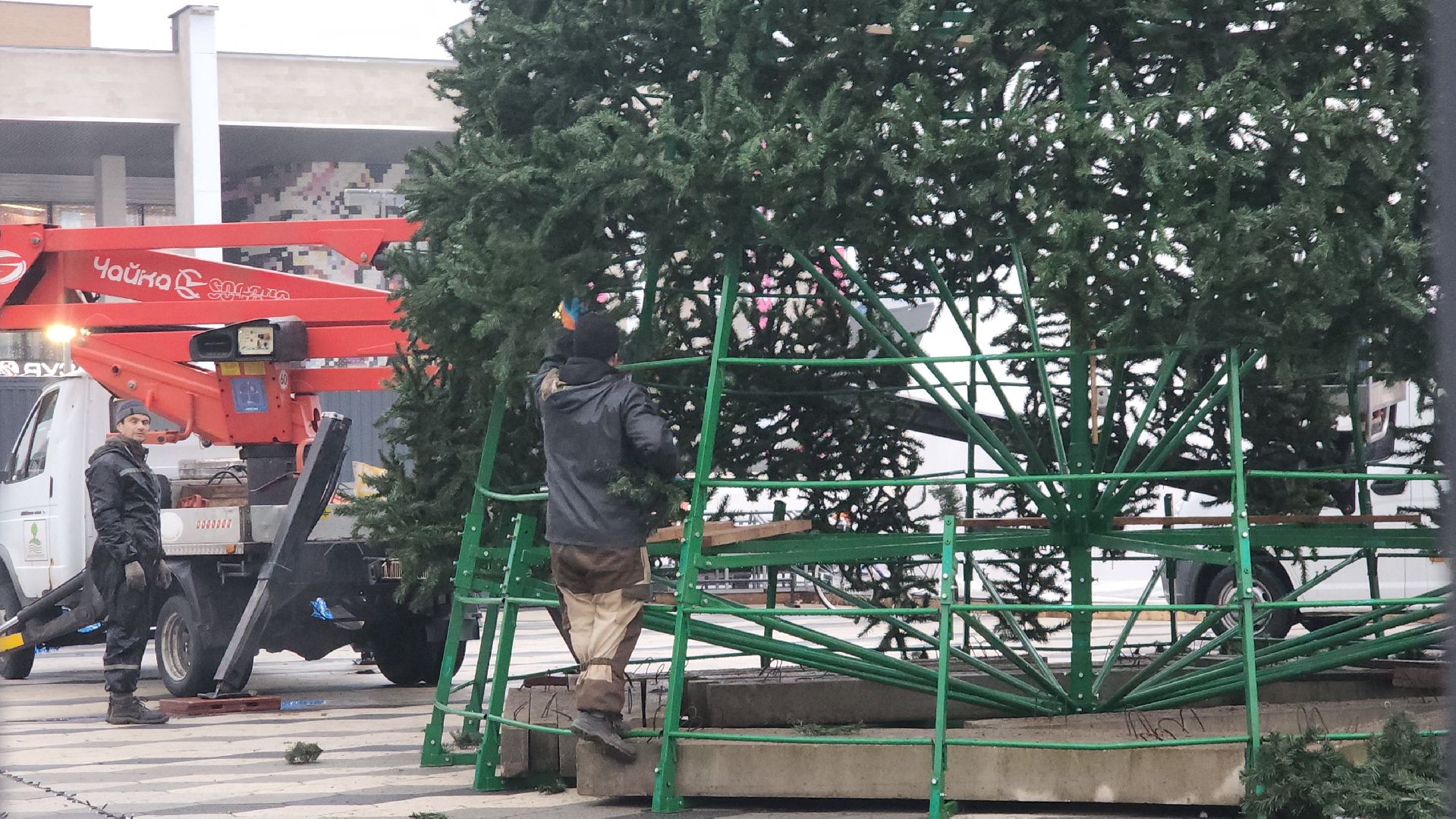мытищи, установка елки,