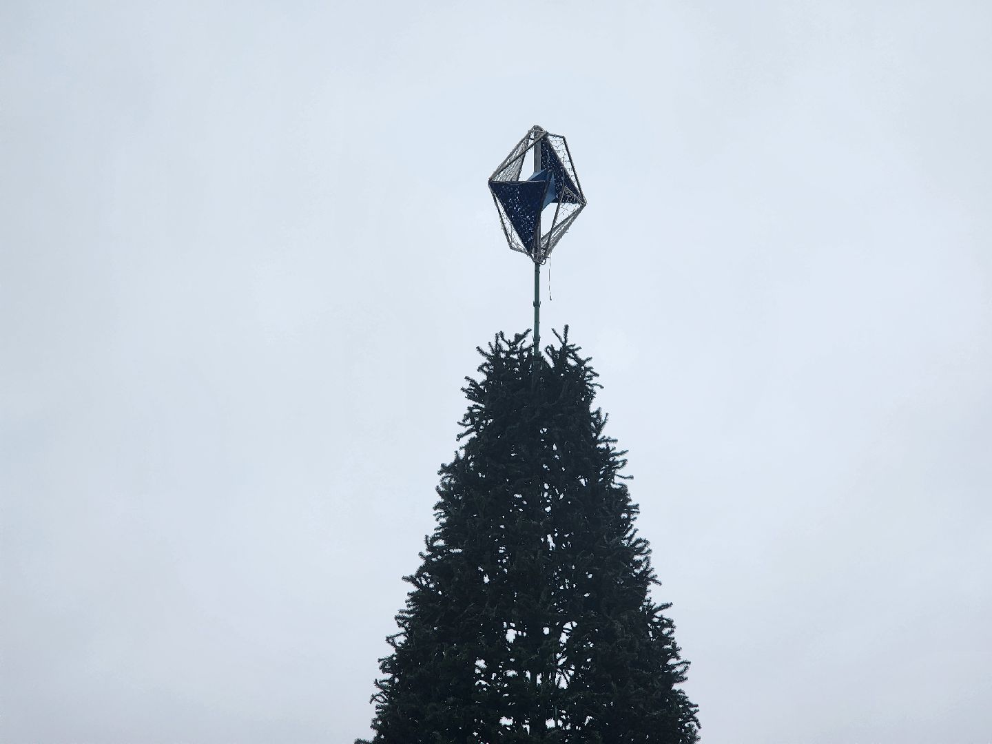 мытищи, установка елки,