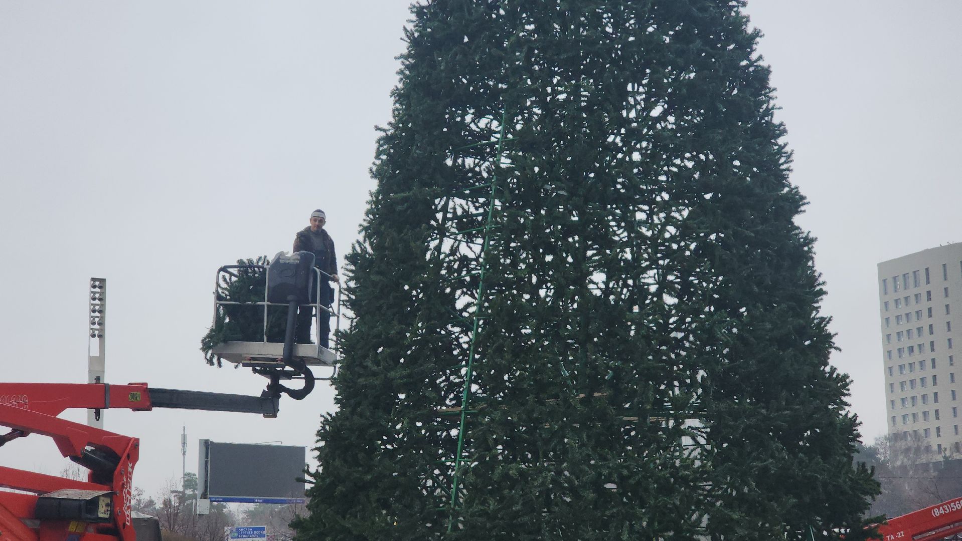 мытищи, установка елки,