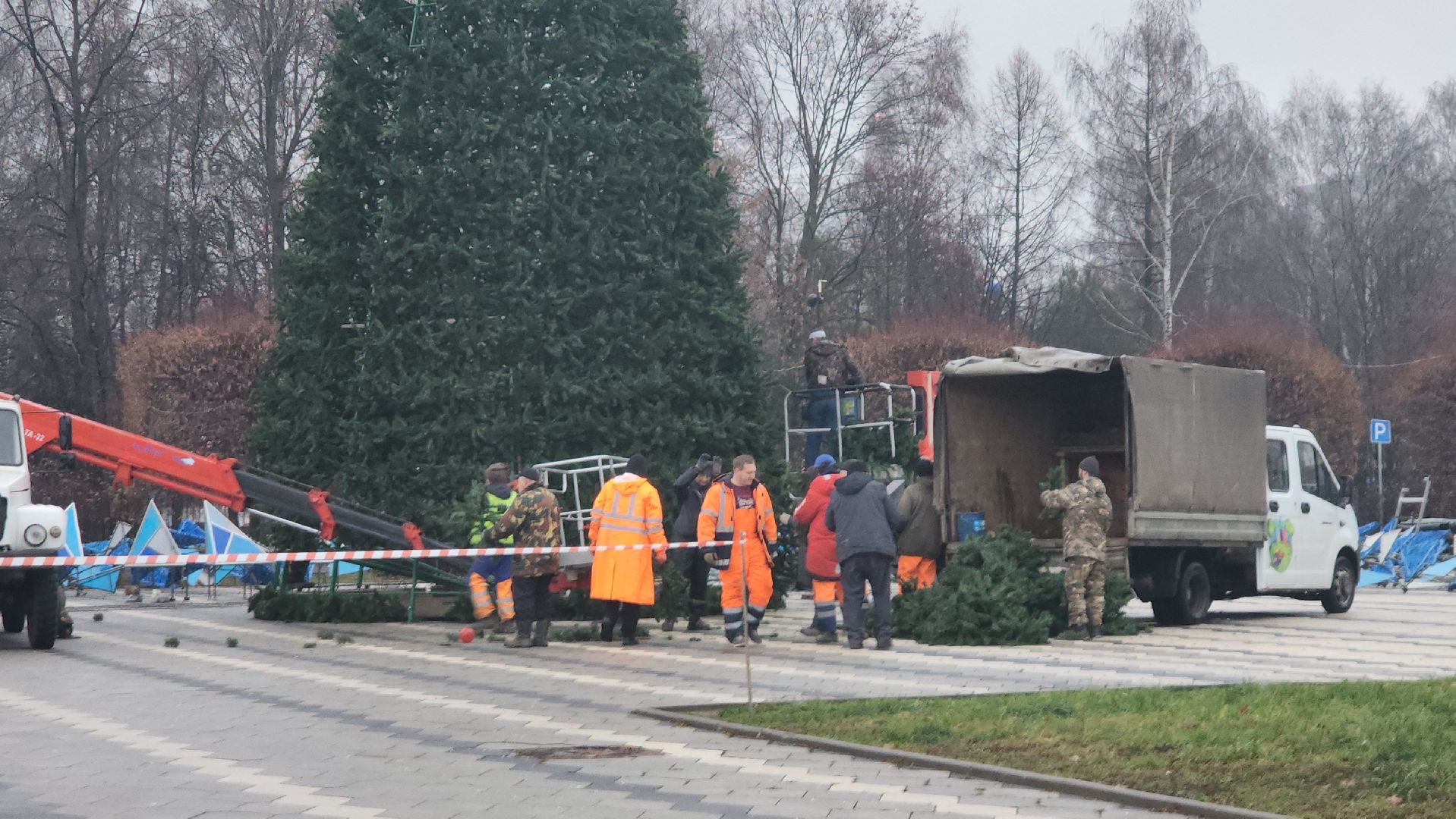 мытищи, установка елки,