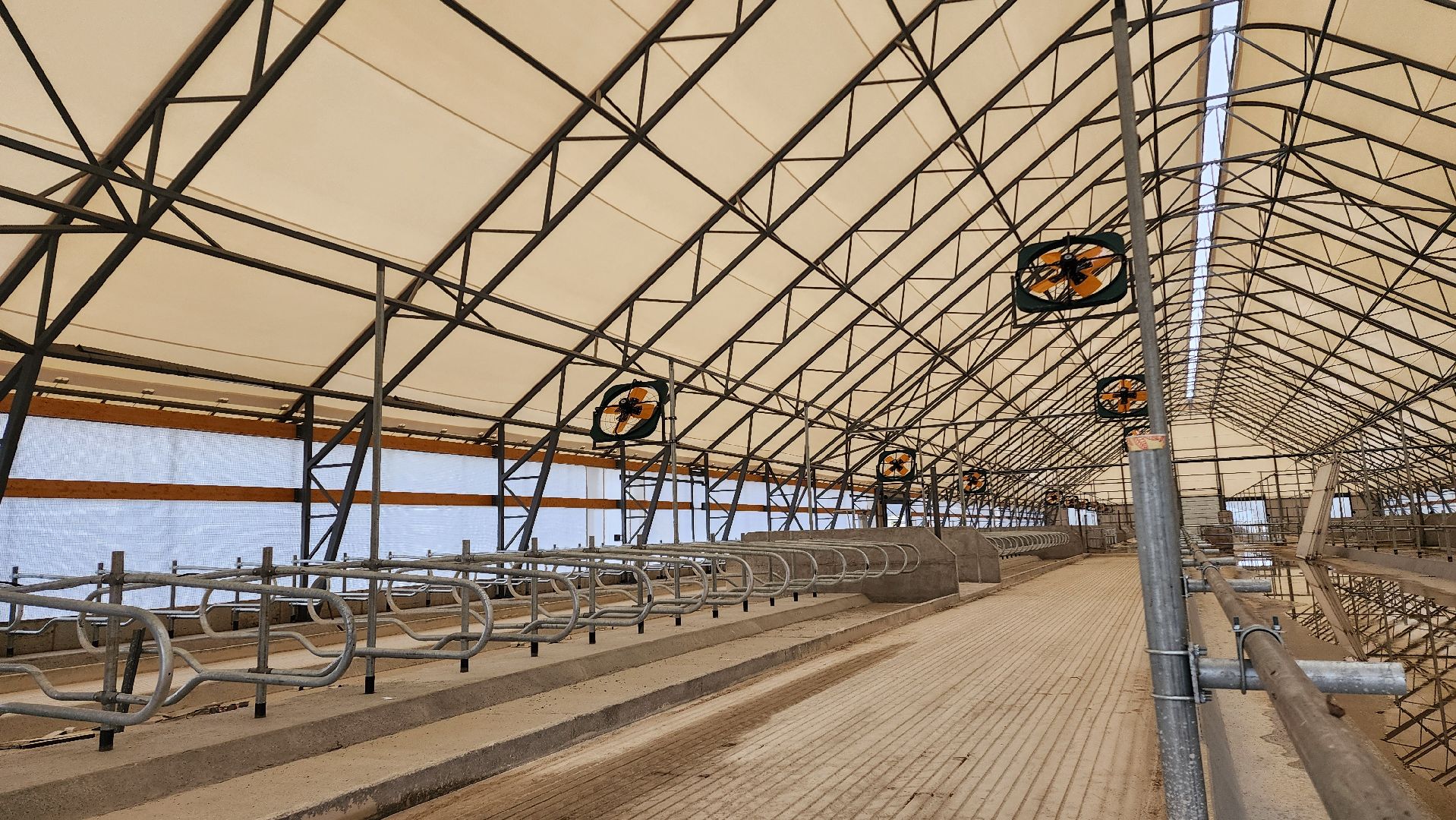 ферма, повадино, племзавод, домодедово, сельское хозяйство, строительство, новая ферма, корова,  надой , удой,