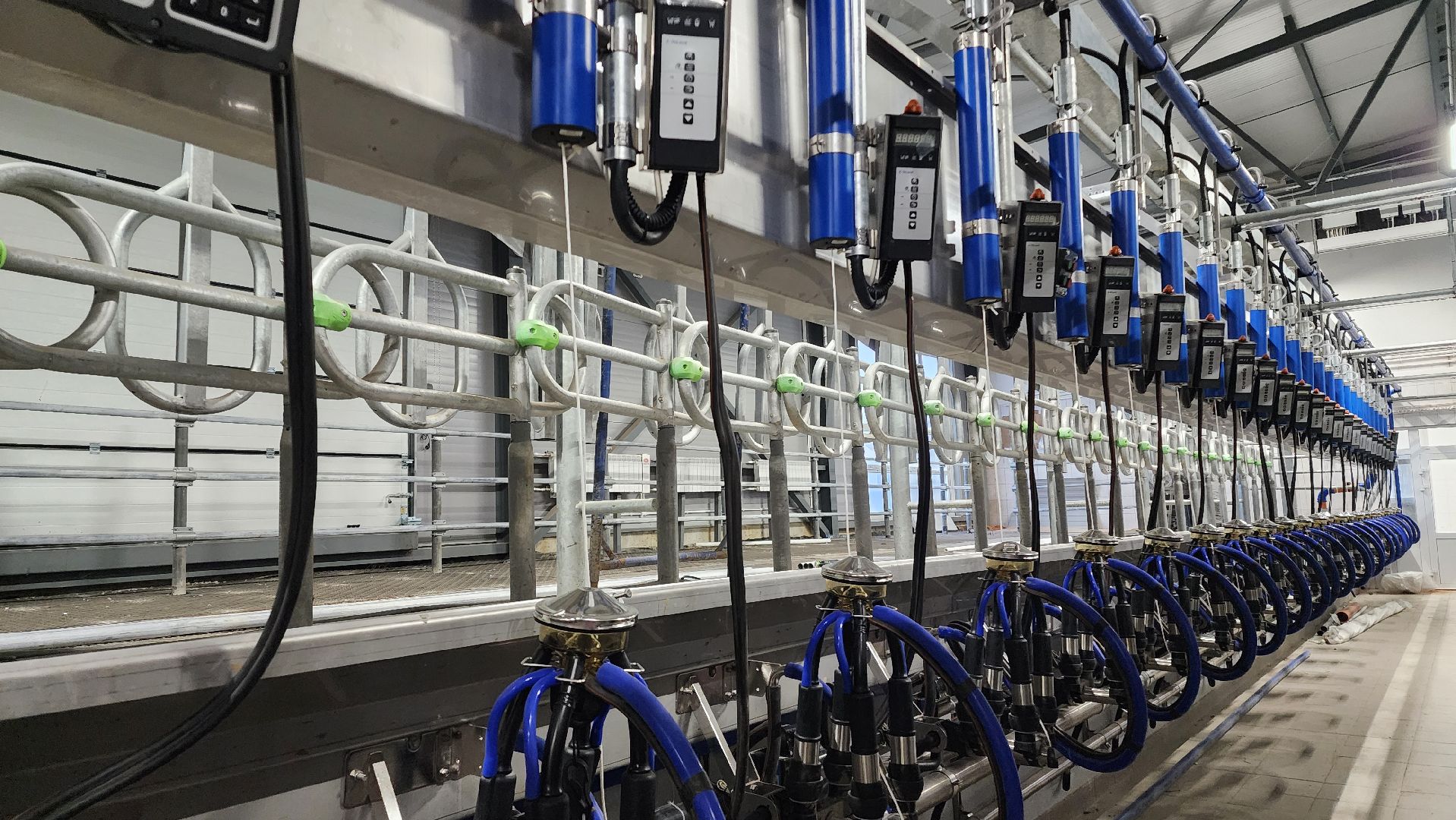 ферма, повадино, племзавод, домодедово, сельское хозяйство, строительство, новая ферма, корова,  надой , удой,