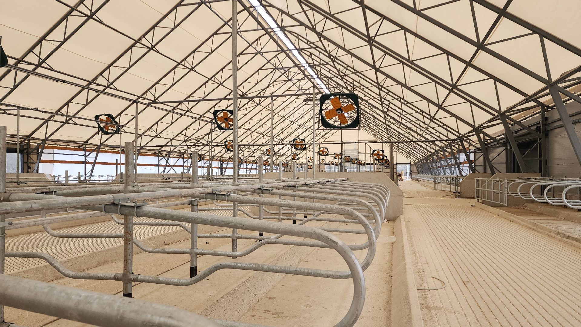 ферма, повадино, племзавод, домодедово, сельское хозяйство, строительство, новая ферма, корова,  надой , удой,