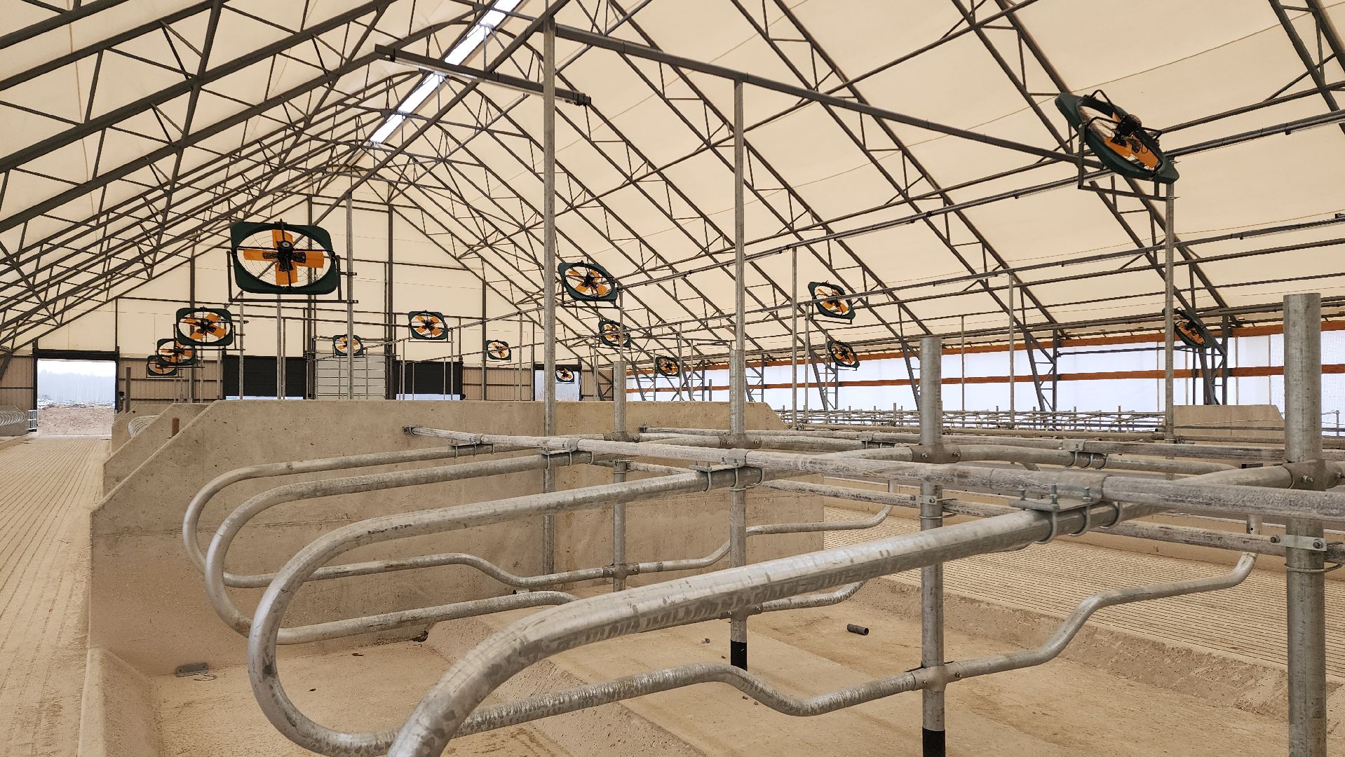 ферма, повадино, племзавод, домодедово, сельское хозяйство, строительство, новая ферма, корова,  надой , удой,