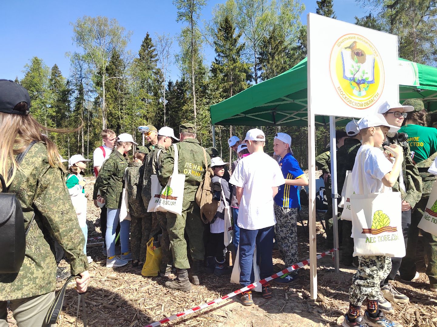Пушкино, Мособллес, Лесная охрана, Лес Победы