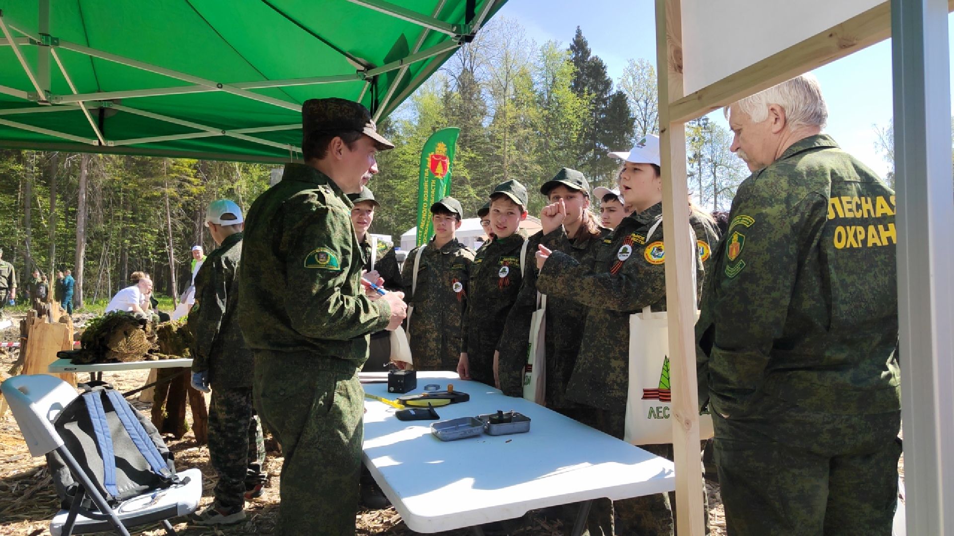 Пушкино, Мособллес, Лесная охрана, Лес Победы
