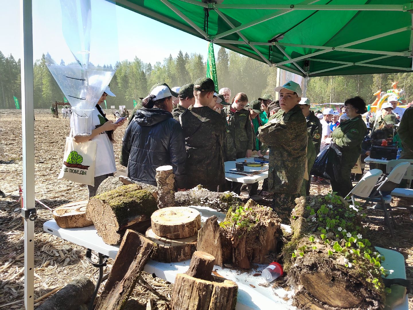 Пушкино, Мособллес, Лесная охрана, Лес Победы