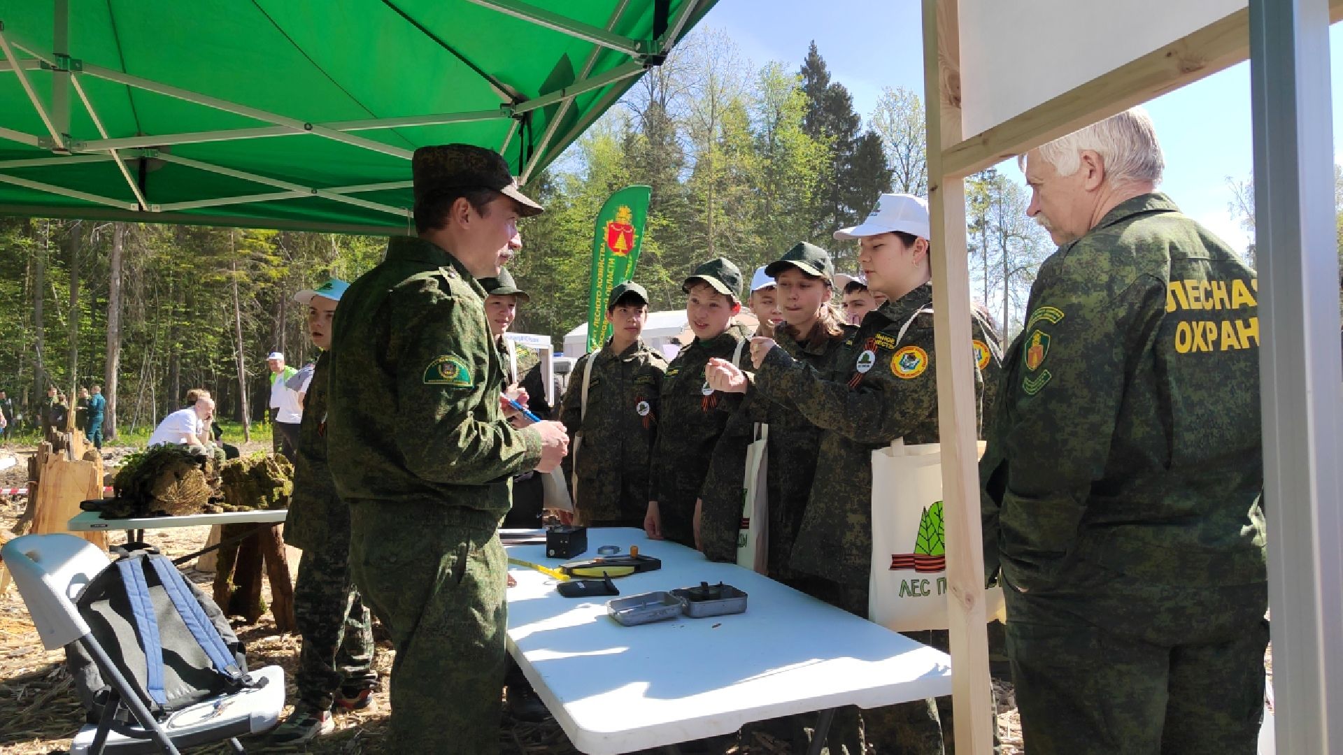 Пушкино, Мособллес, Лесная охрана, Лес Победы
