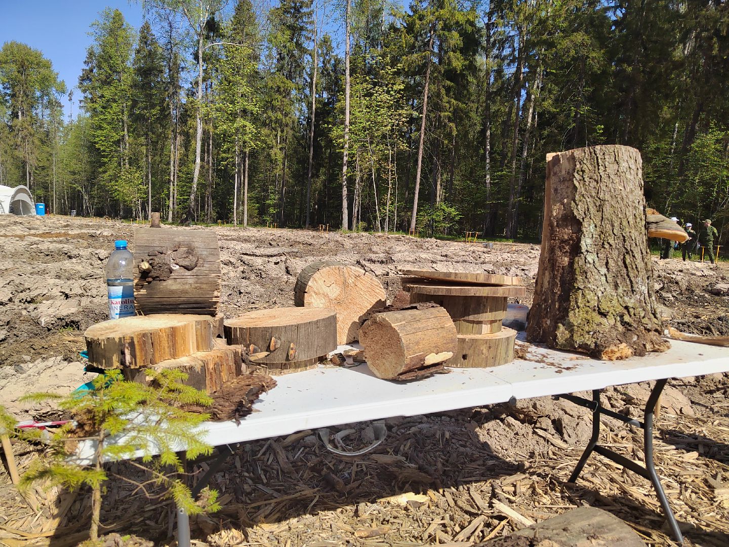 Пушкино, Мособллес, Лесная охрана, Лес Победы