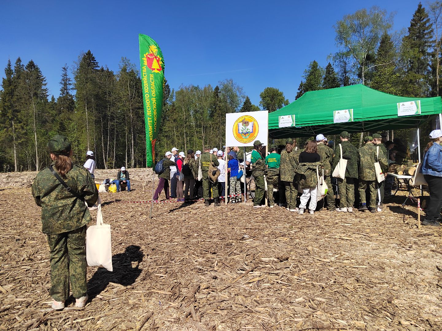 Пушкино, Мособллес, Лесная охрана, Лес Победы