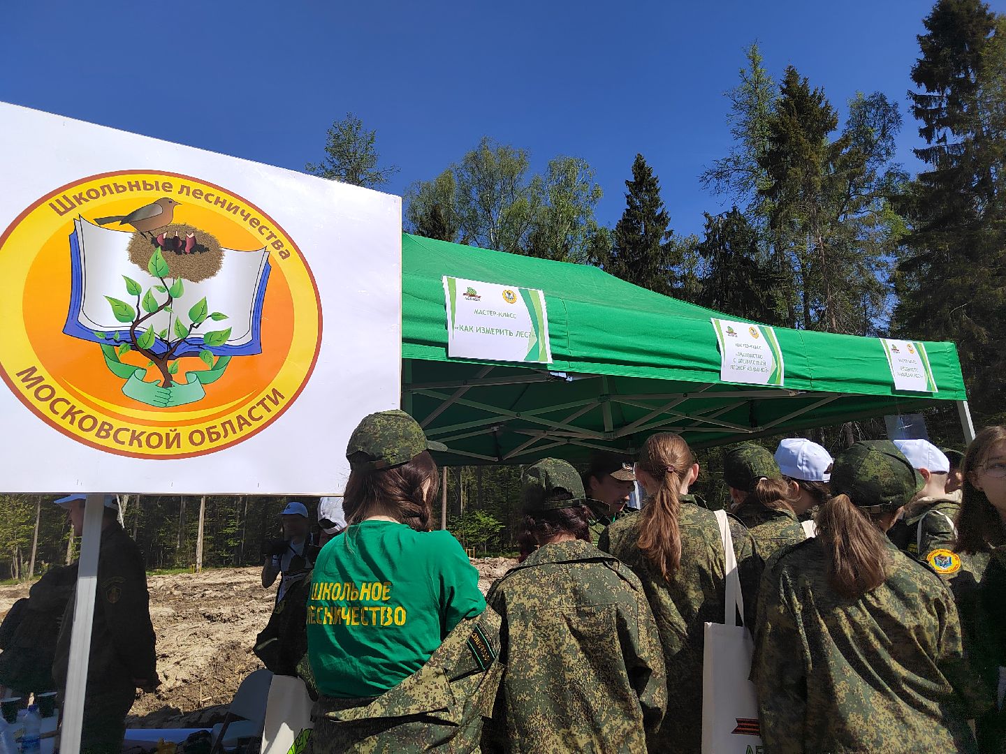 Пушкино, Мособллес, Лесная охрана, Лес Победы