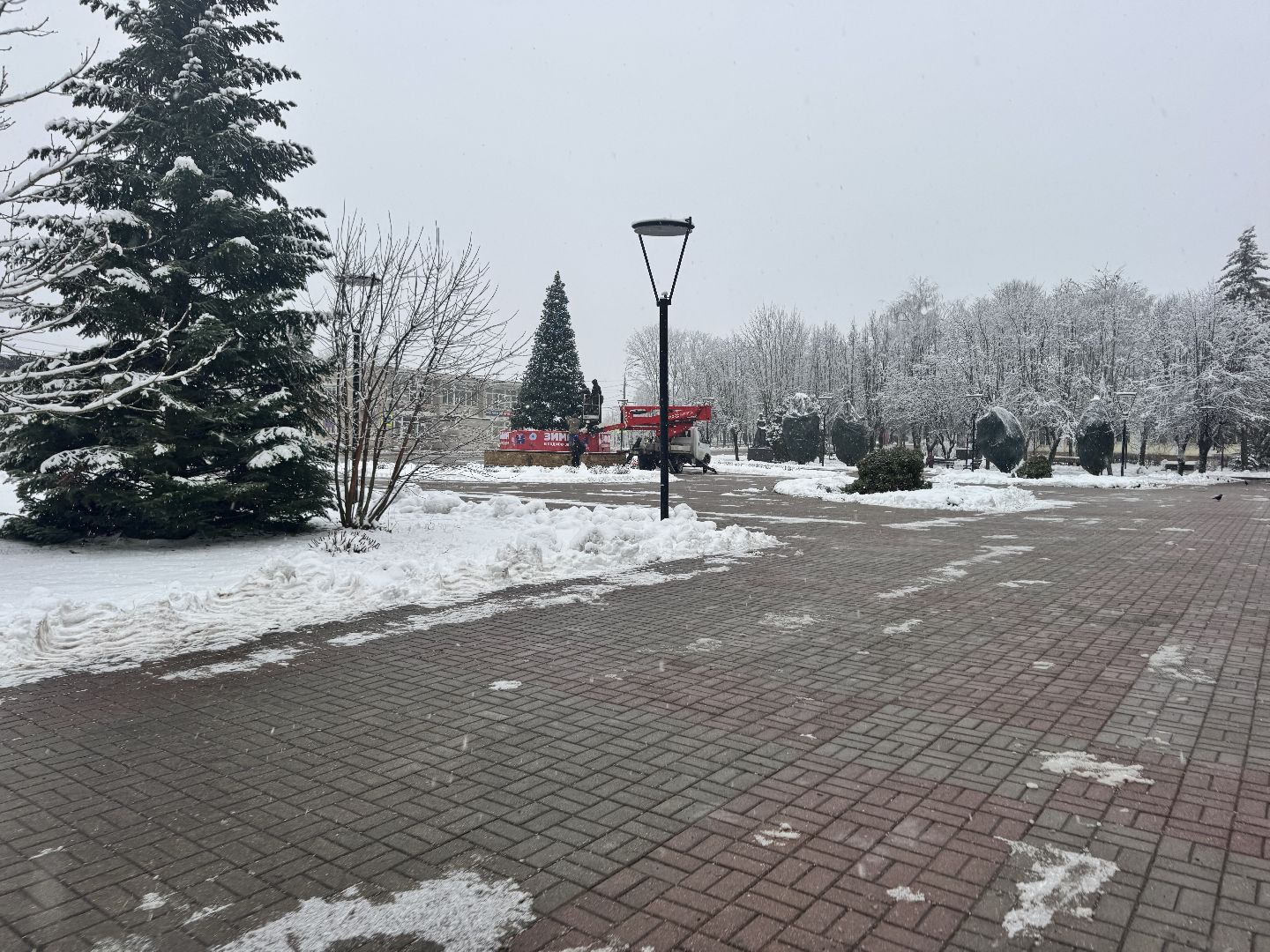 шаховская, ёлка, новогодние украшения,