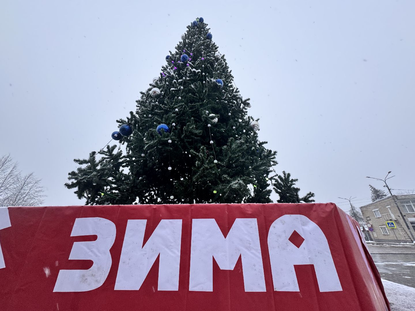 шаховская, ёлка, новогодние украшения,