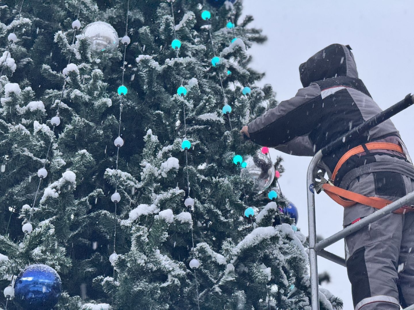 шаховская, ёлка, новогодние украшения,