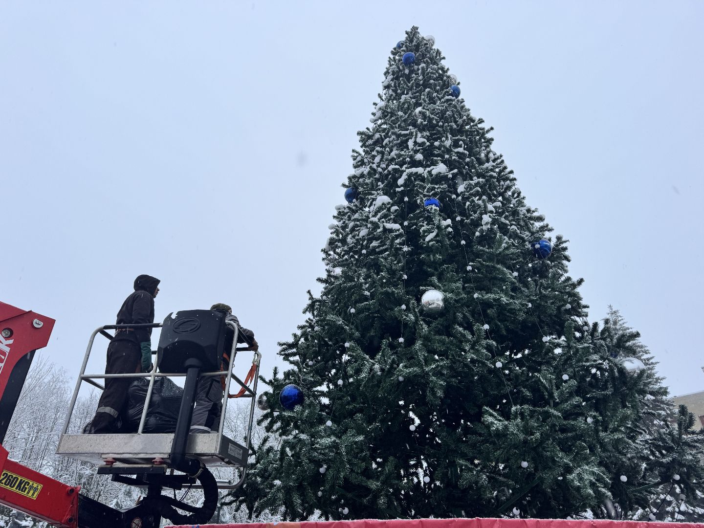 шаховская, ёлка, новогодние украшения,