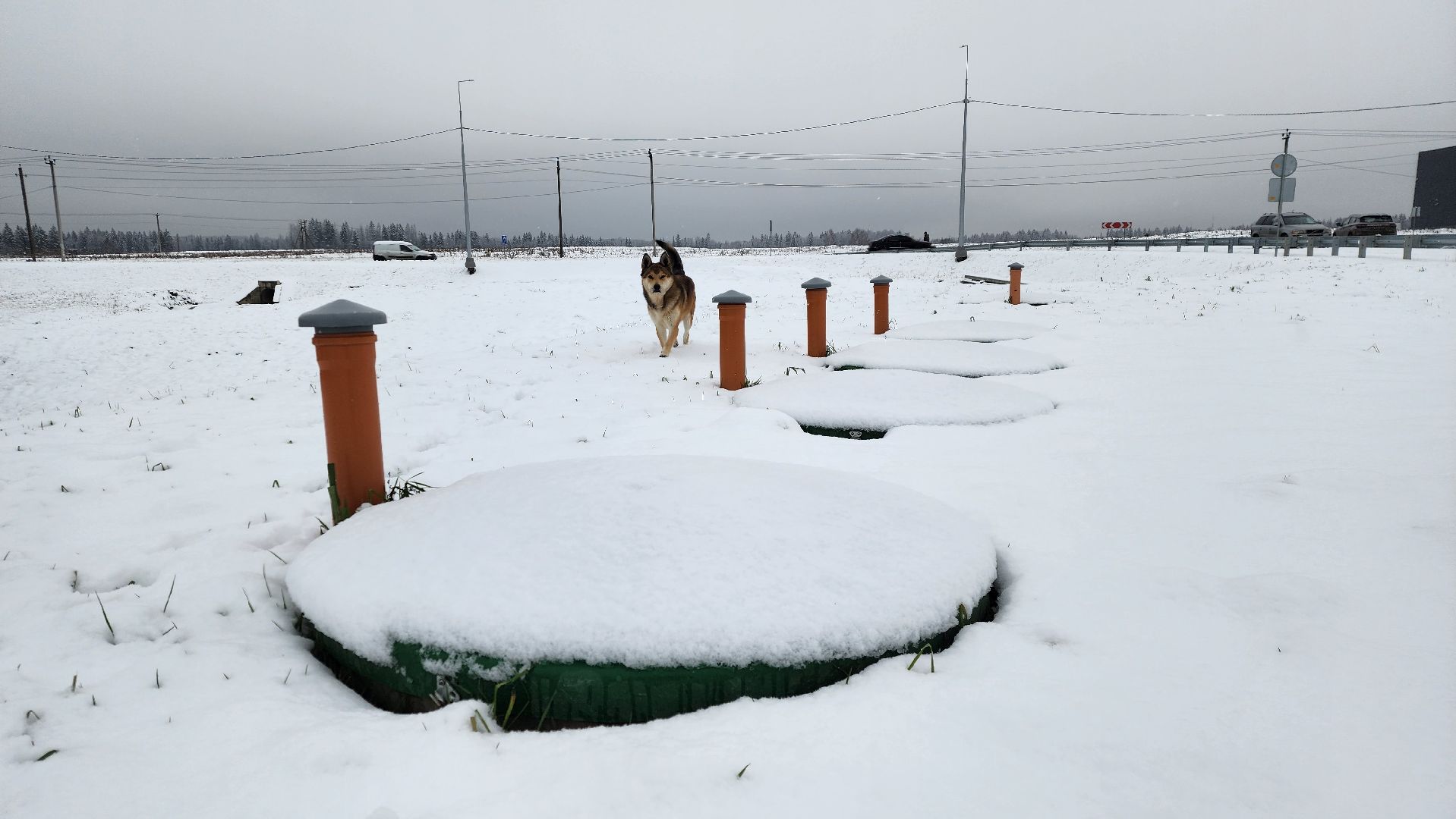 дороги, истра, строительство  дорог,