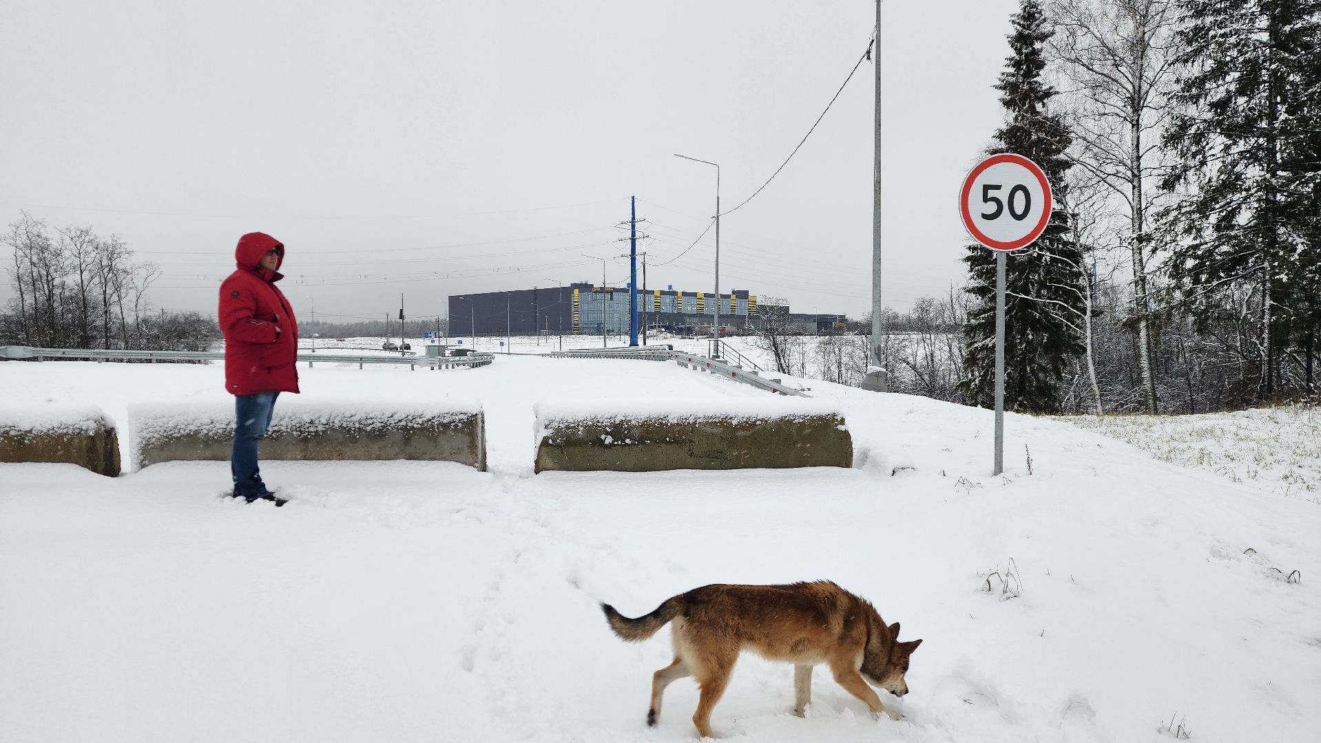 дороги, истра, строительство  дорог,