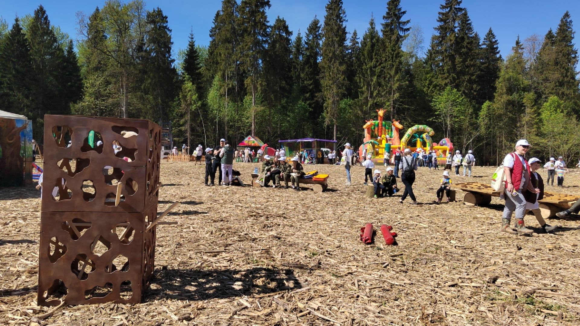 Пушкино, Ельдигино, культура, Лес Победы