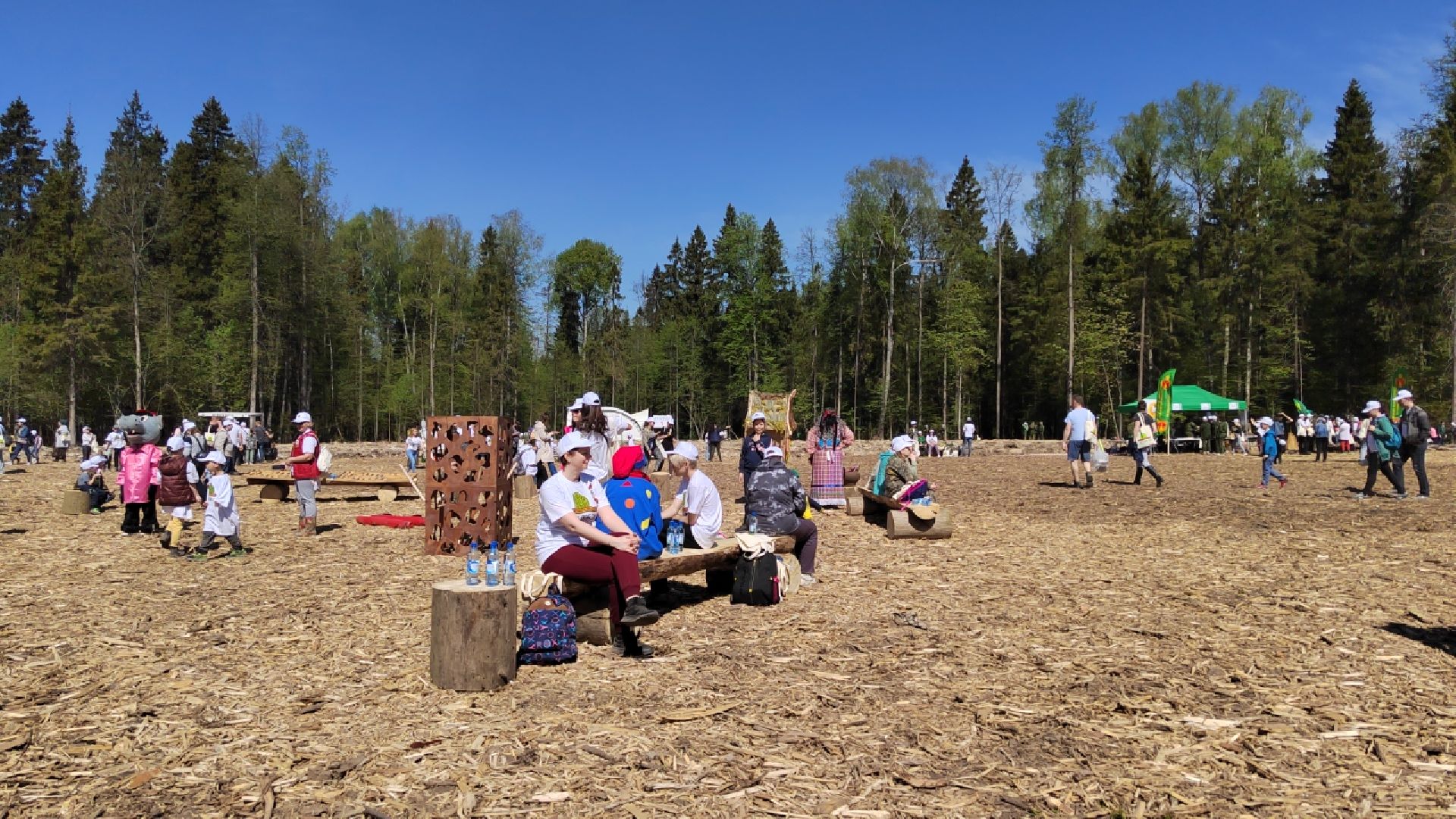 Пушкино, Ельдигино, культура, Лес Победы