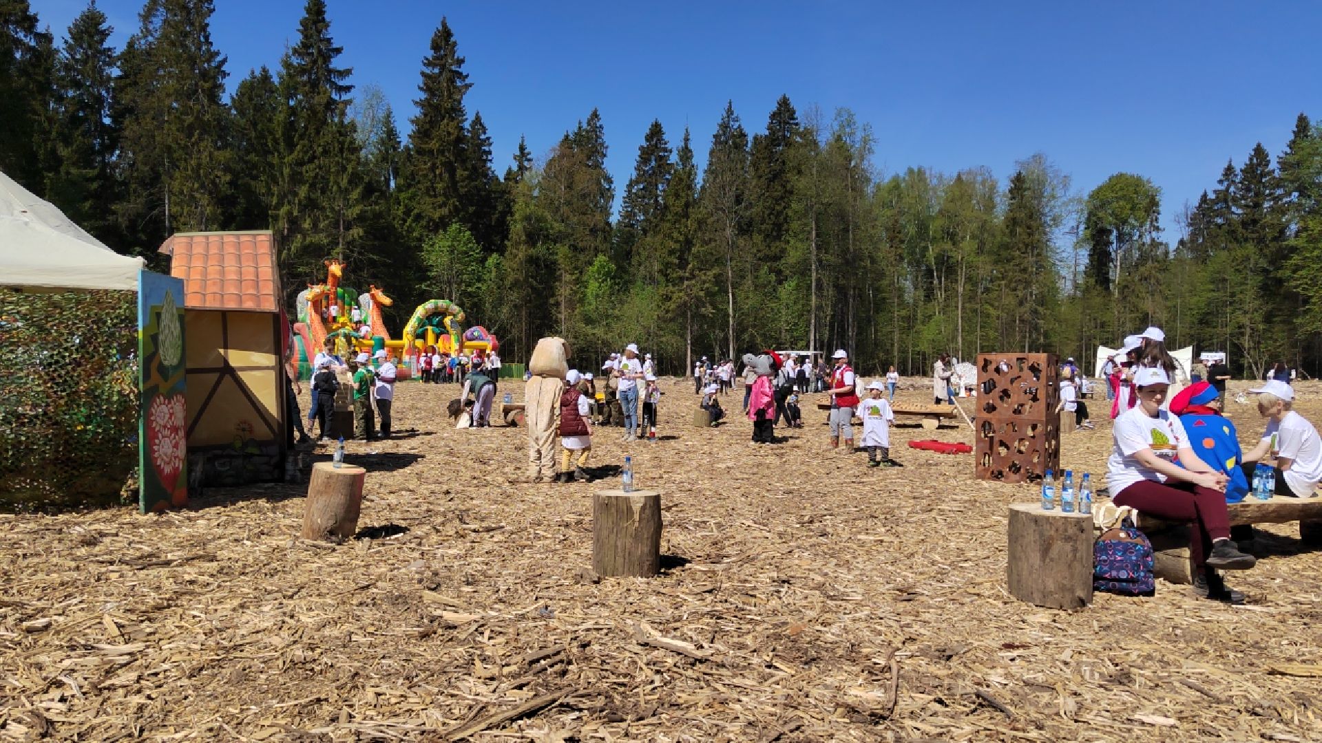 Пушкино, Ельдигино, культура, Лес Победы