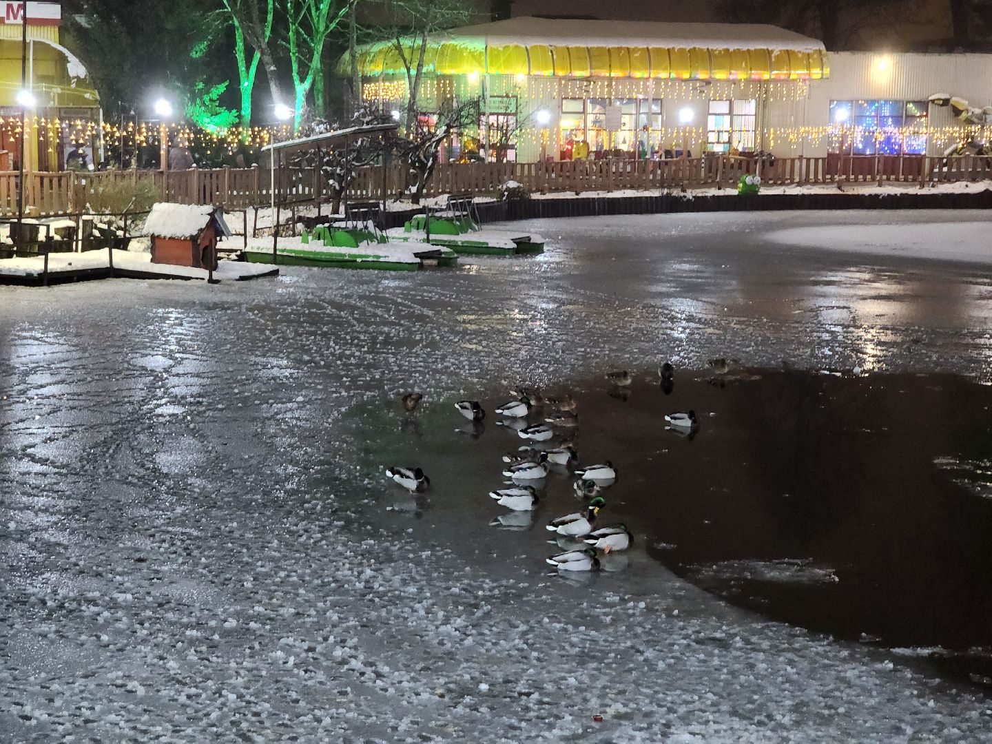 сергиев посад, сергиево-посадский городской округ, парк чудес, парки, зима в подмосковье,ёлка,