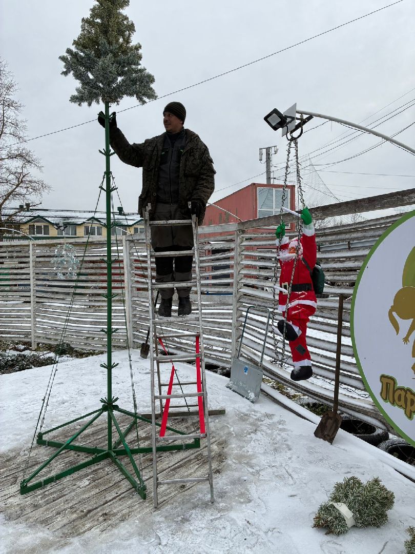 сергиев посад, сергиево-посадский городской округ, парк чудес, парки, зима в подмосковье,ёлка,