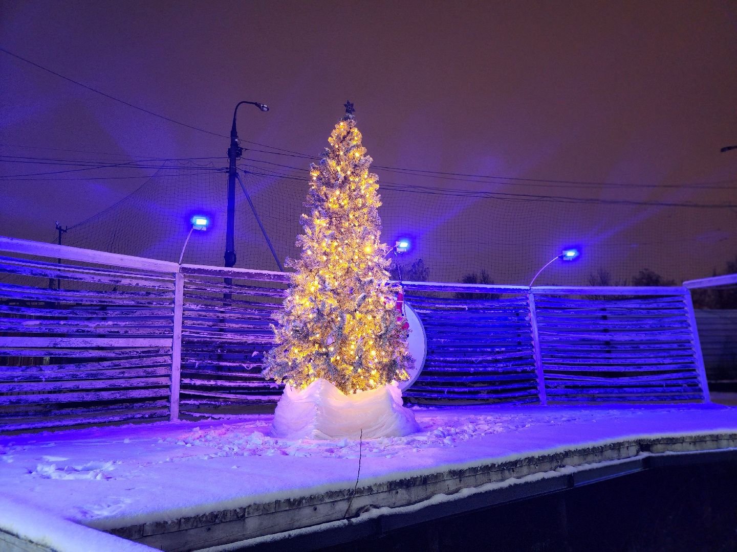 сергиев посад, сергиево-посадский городской округ, парк чудес, парки, зима в подмосковье,ёлка,