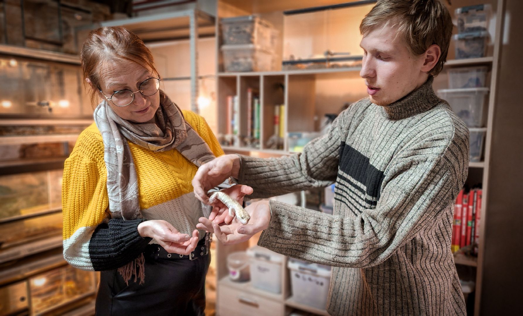 бронницы, экзотические животные в бронницах, экзотические животные в квартире, змеи в бронницах,
