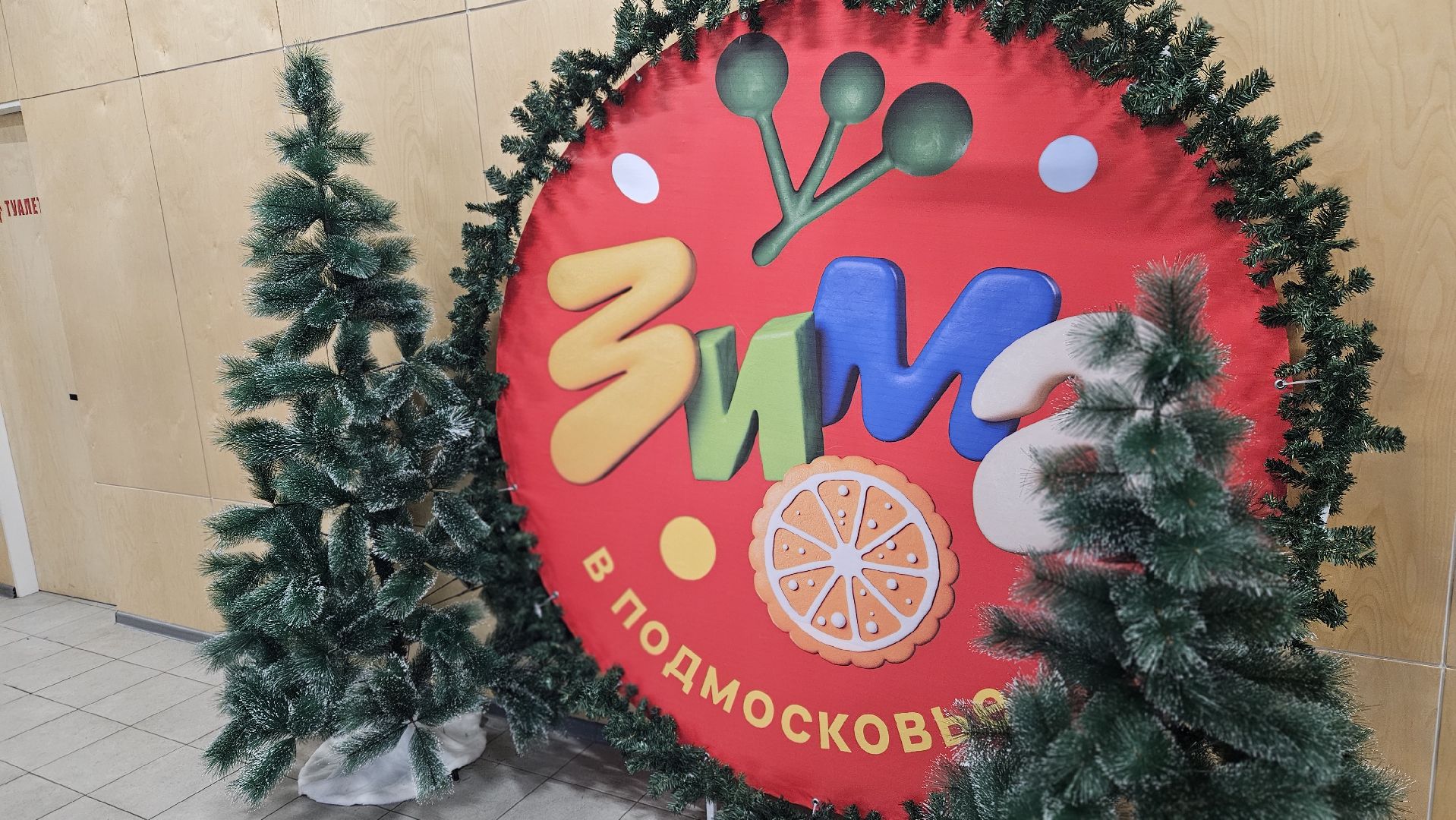 зима в подмосковье, жуковский, новогодняя елка,