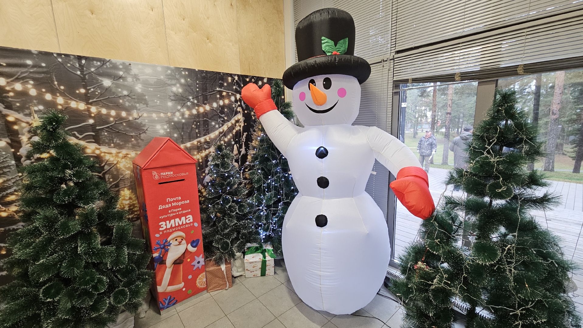 зима в подмосковье, жуковский, новогодняя елка,